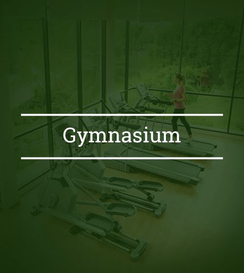 Gymnasium